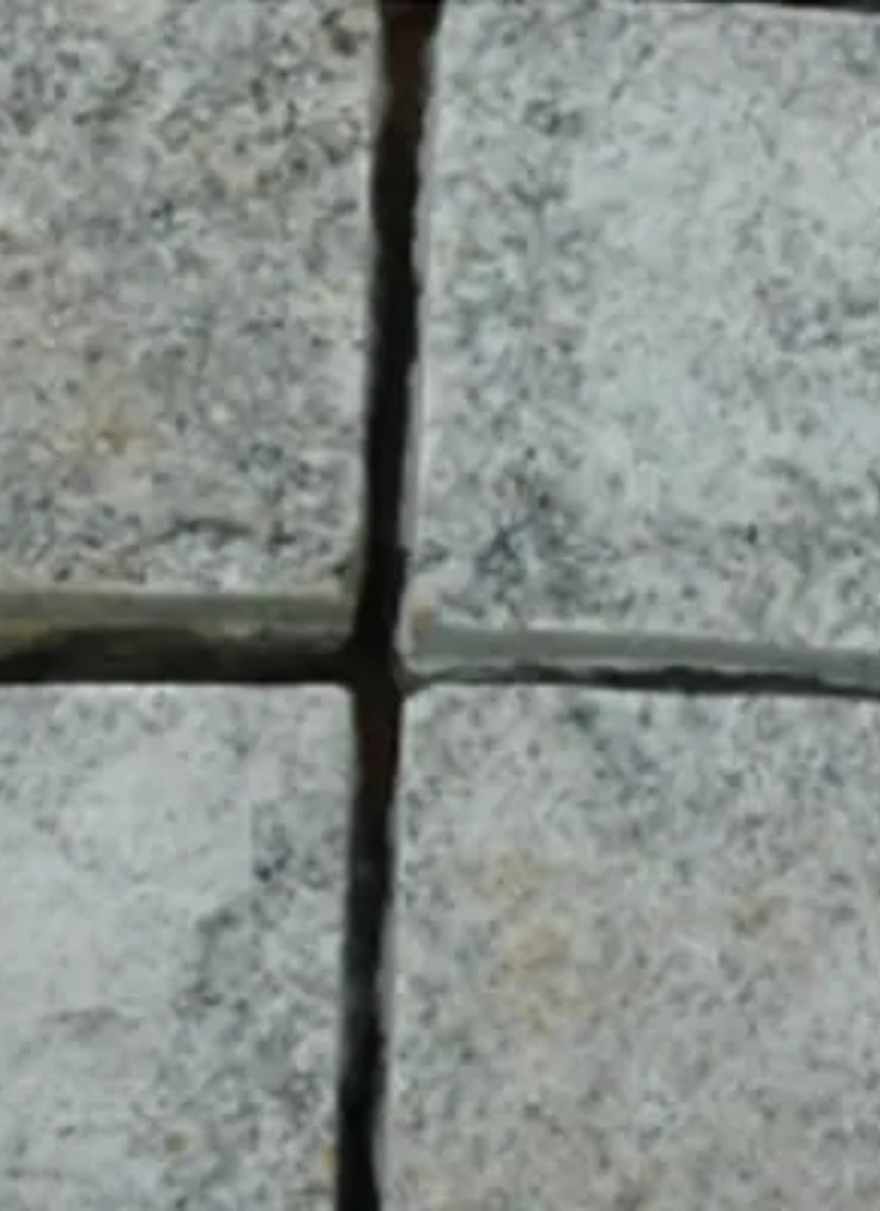 Large Image