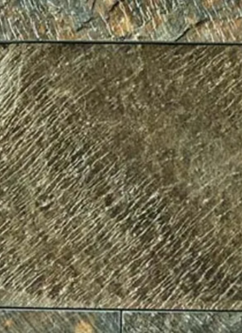 Large Image