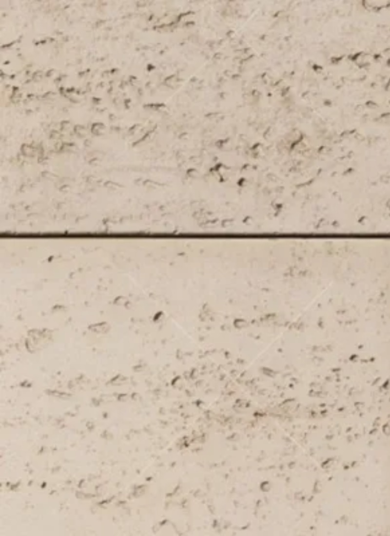 Large Image