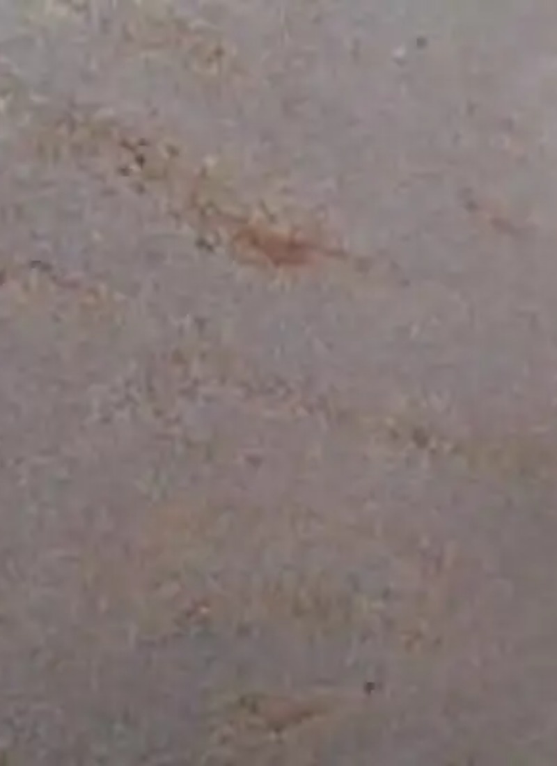 Large Image