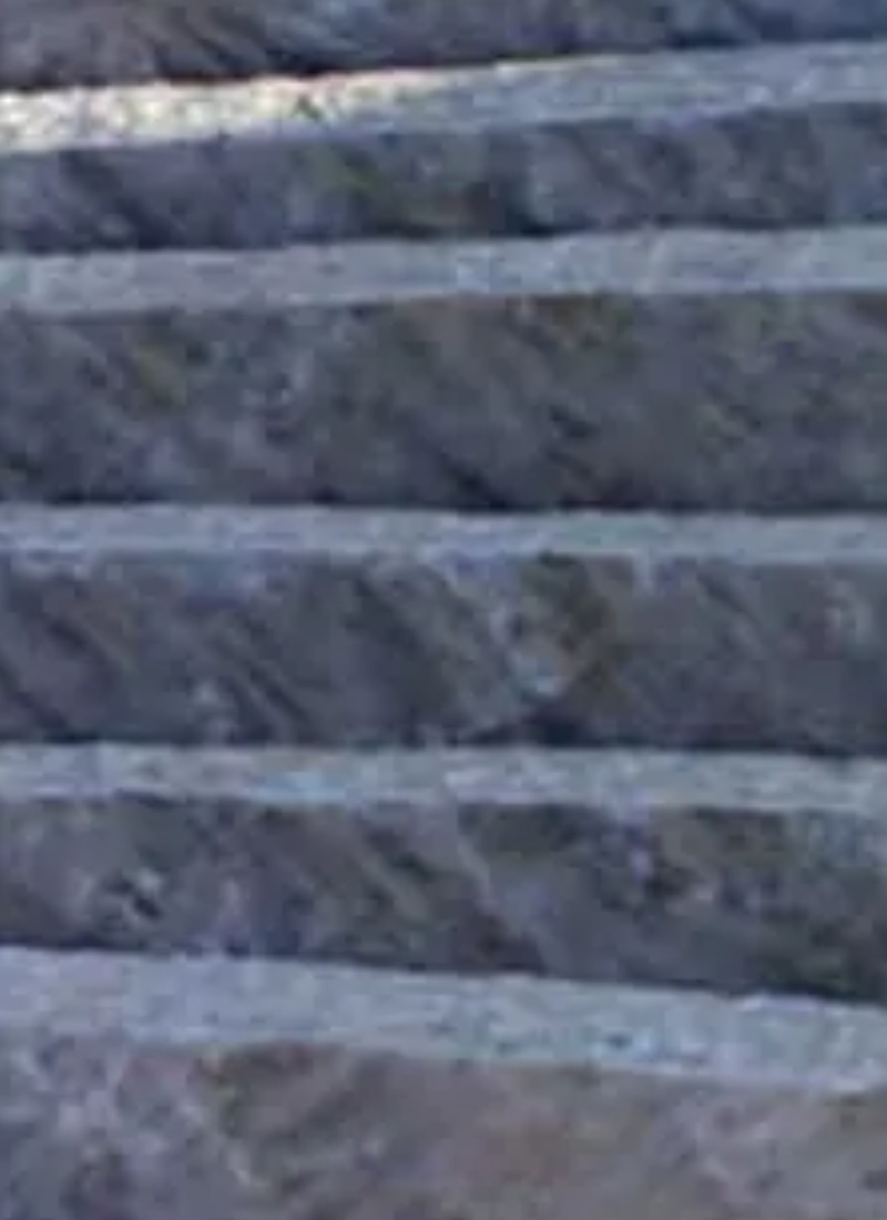 Large Image